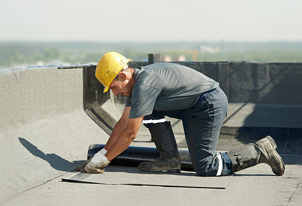 Best Crawl Space Insulation  in Logan, OH